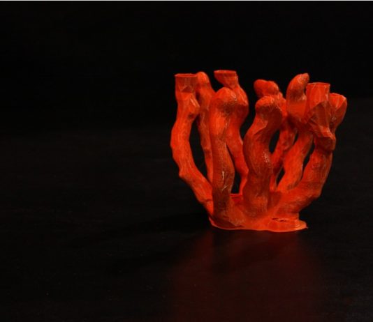 Alessandra Angelini – Trasformazione Alessandra Angelini – Trasformazione