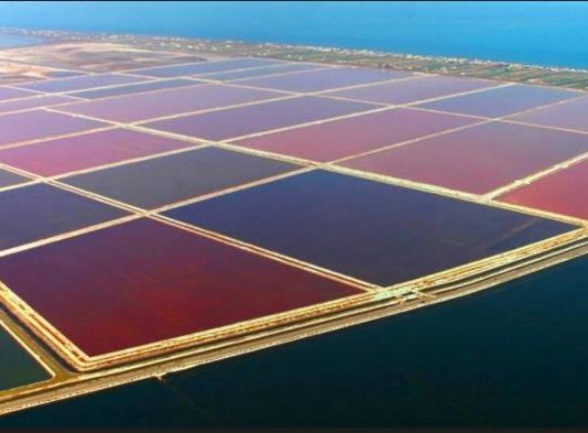 Apulia Land Art Apulia Land Art