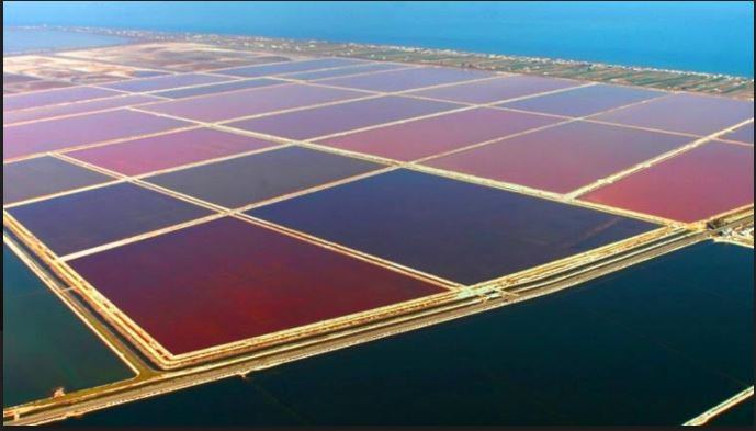 Apulia Land Arthttps://www.exibart.com/repository/media/eventi/2017/08/apulia-land-art.jpg