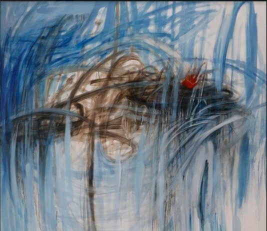 Silvia Canton  – L’Equilibrista