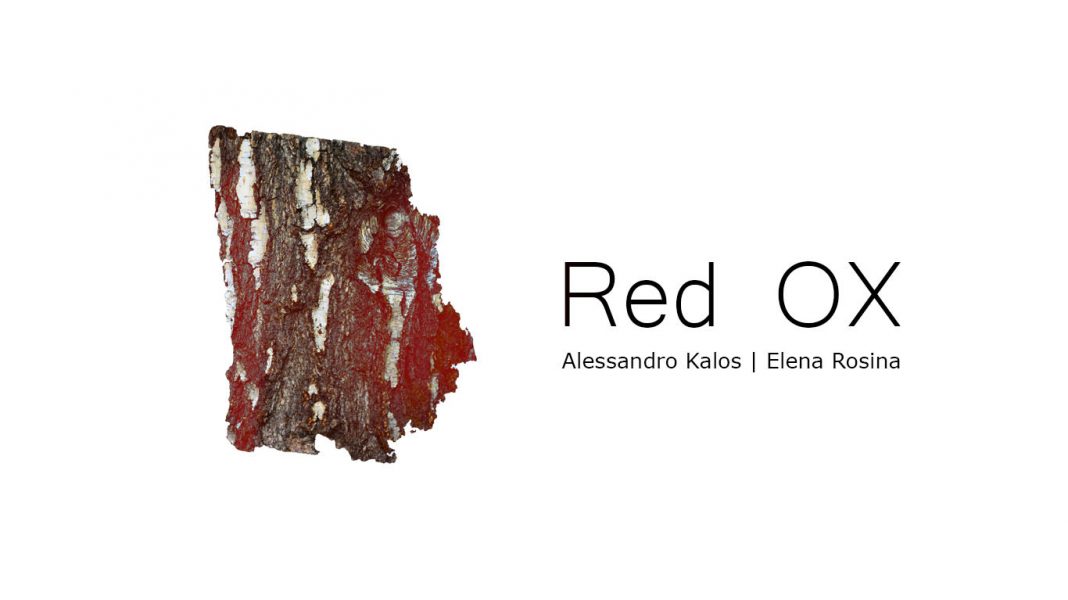 Alessandro Kalos / Elena Rosina – Red OXhttps://www.exibart.com/repository/media/eventi/2017/09/alessandro-kalos-elena-rosina-8211-red-ox-1068x600.jpg