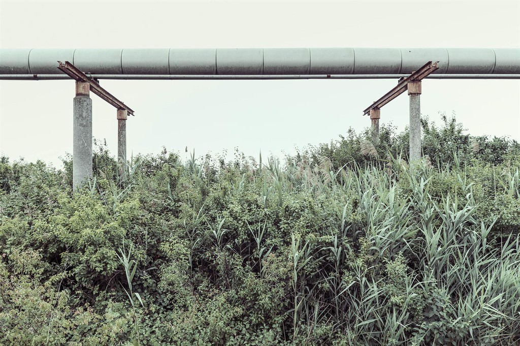 Alessandro Scarpa / Carlo Albertini – PM100https://www.exibart.com/repository/media/eventi/2017/09/alessandro-scarpa-carlo-albertini-8211-pm100.jpg