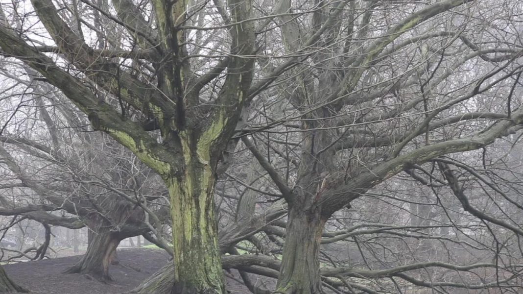 Eglė Budvytytė – Tra ciglia e pensierohttps://www.exibart.com/repository/media/eventi/2017/09/egl279-budvytyt279-8211-tra-ciglia-e-pensiero-1068x600.jpg