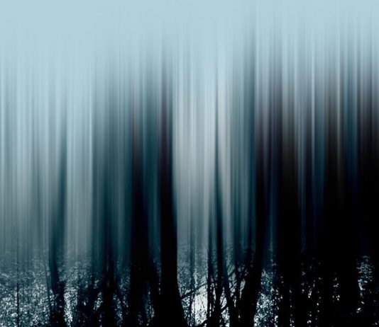 Giancarlo Dell’Antonia – I miei infiniti Alberi