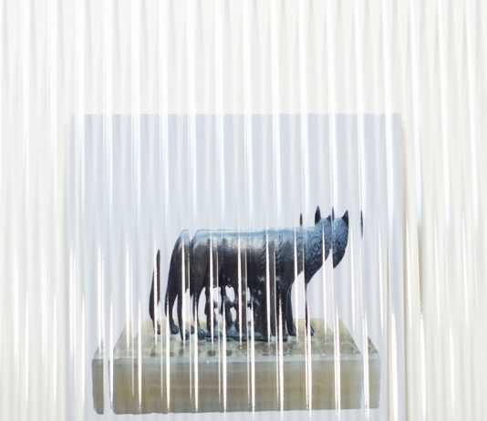 Giuseppe De Mattia – Dispositivi per non vedere bene Roma