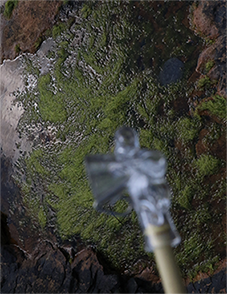 Hayley Silverman – The Living Watch Over The Living