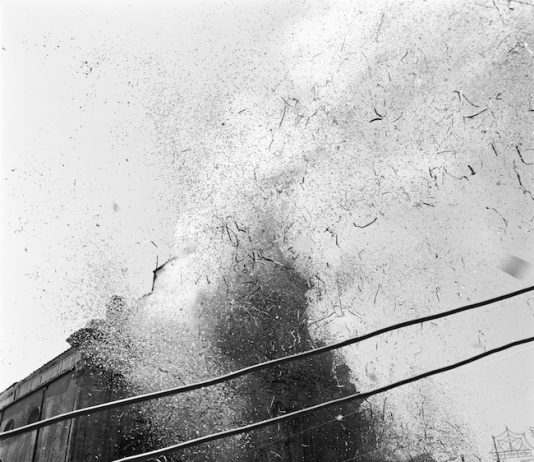 Marco Williams Fagioli – Abstract