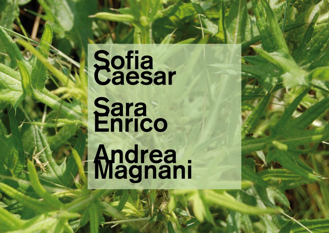 Nuove installazioni al PAVhttps://www.exibart.com/repository/media/eventi/2017/09/nuove-installazioni-al-pav-1068x755.jpg