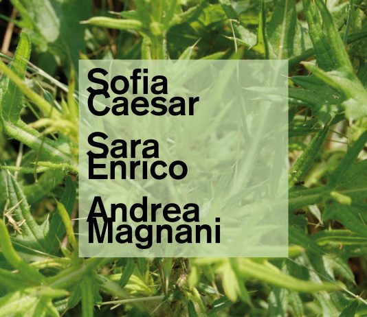 Nuove installazioni al PAV