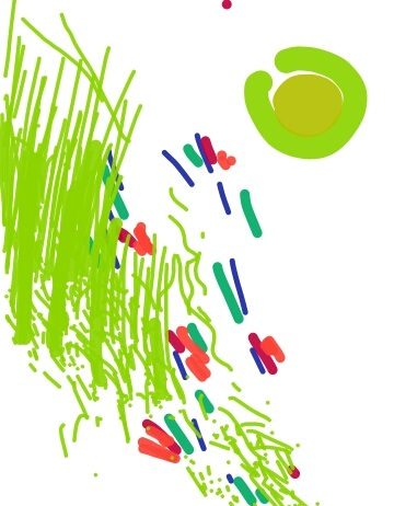 Alejandra Sandoval – Oltre tempo, El tiempo, Il tempo, Time, Le temps, O tempo