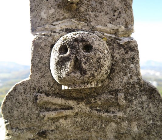 Andrea d’Amore – Dieci passi dall’erosione genetica