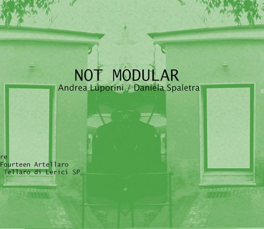 Andrea Luporini / Daniela Spaletra – Not Modular