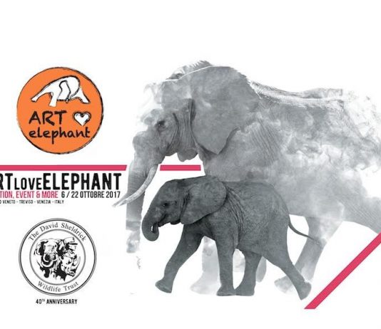 ARTLoveElephant