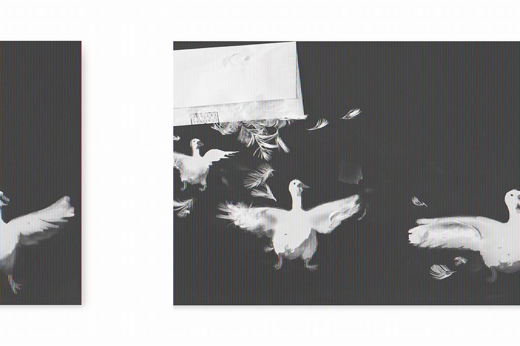 Buste Dipinte 2017https://www.exibart.com/repository/media/eventi/2017/10/buste-dipinte-2017.jpg