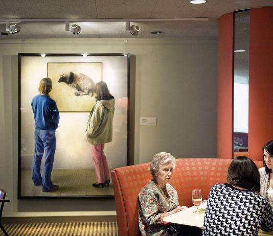 Diego Macrì – Fictionalism Diego Macrì – Fictionalism