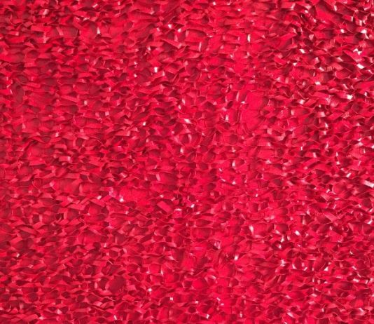 Marina Mazzega – Infiniti flussi