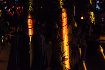 Native Instrument – Camo