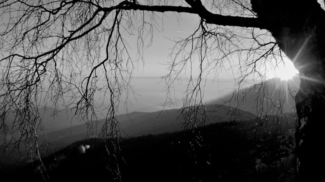 Paolo Bongianino – Natura contro Naturahttps://www.exibart.com/repository/media/eventi/2017/10/paolo-bongianino-8211-natura-contro-natura-1068x598.jpg