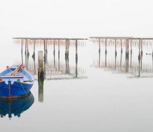 Roberto Nordio – Linea di Galleggiamento
