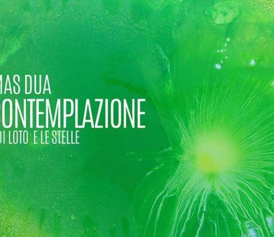 Thomas Dua – La contemplazione, i fior di loto e le stelle