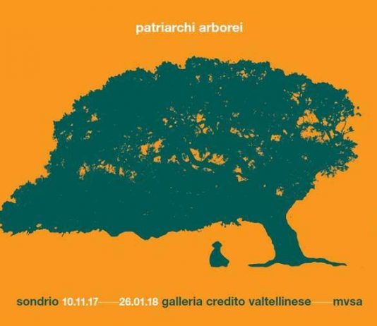 Andrea Mori – Patriarchi arborei