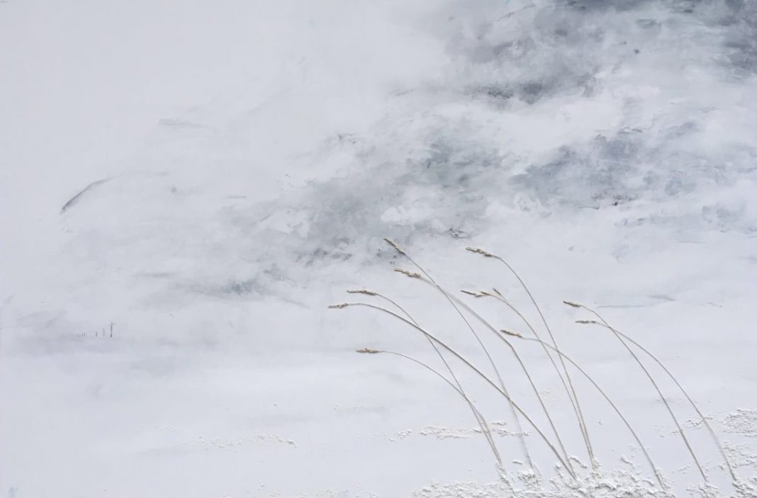 Arianna Sperotto – Lucehttps://www.exibart.com/repository/media/eventi/2017/11/arianna-sperotto-8211-luce-1068x703.jpg