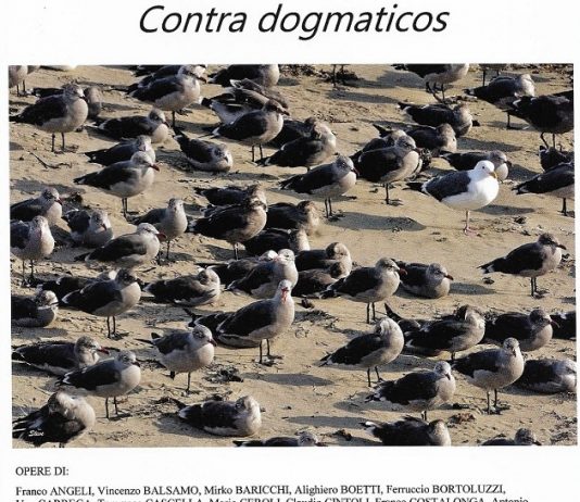 Contra dogmaticos