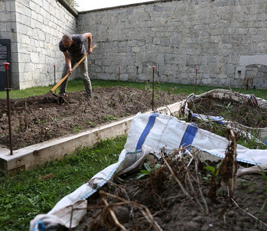 Hannes Egger – Pomme de Guerre Hannes Egger – Pomme de Guerre
