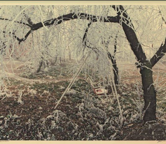 Le pietre del cielo. Luigi Ghirri e Paolo Icaro