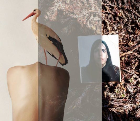 Montserrat Diaz / Alexi Paladino – I Declare My Shadow