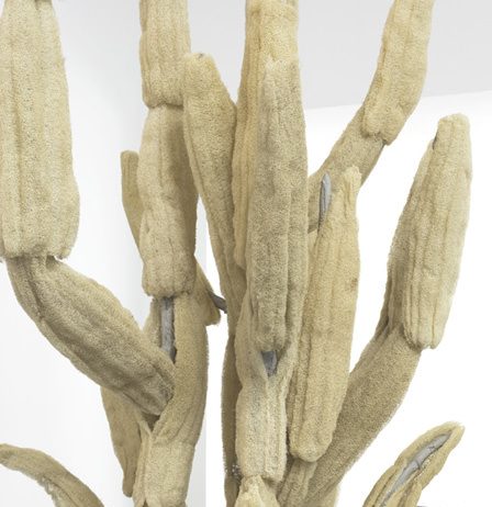 Oren Pinhassi – Nature Calls