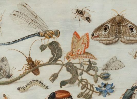 Rame. Il Metallo dell’Arte Fiamminga