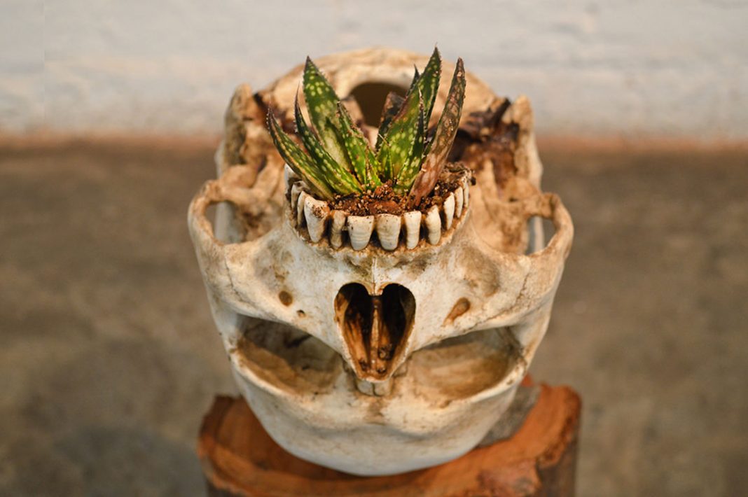 Residenze #3: Juan Zamora – ORA (bajo al cielo de la boca)https://www.exibart.com/repository/media/eventi/2017/11/residenze-3-juan-zamora-8211-ora-bajo-al-cielo-de-la-boca-1068x710.jpg