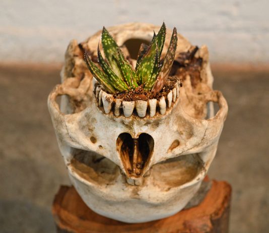 Residenze #3: Juan Zamora – ORA (bajo al cielo de la boca)