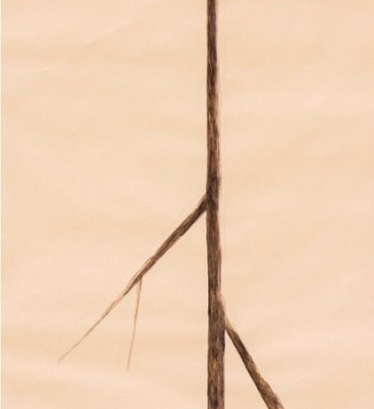 Rodrigo Hernández / Rita Ponce de León – Stelo