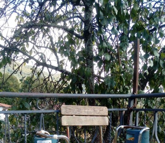 Svenja Deininger – Second Sentence