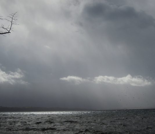 Corrado Placidi –  Vista lago