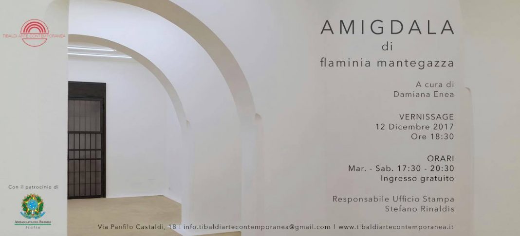 Flaminia Mantegazza – Amigdalahttps://www.exibart.com/repository/media/eventi/2017/12/flaminia-mantegazza-8211-amigdala-1068x486.jpg