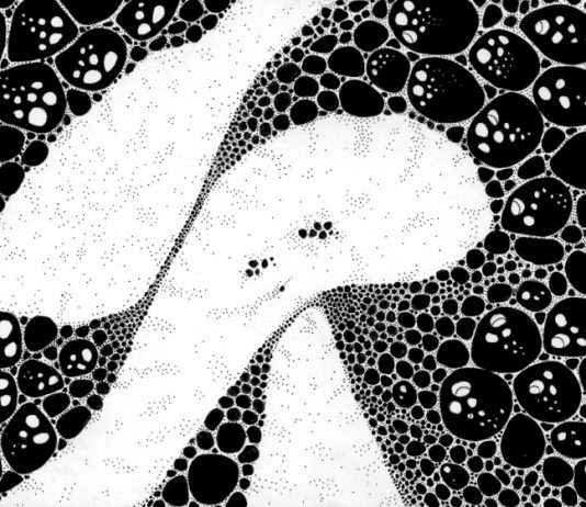 Leonardo Guerini – Appunti di Scienze Leonardo Guerini – Appunti di Scienze