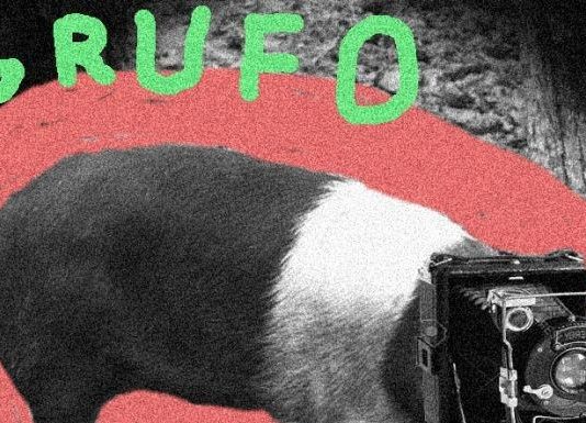 Grufoso – Siena mi sta street Grufoso – Siena mi sta street