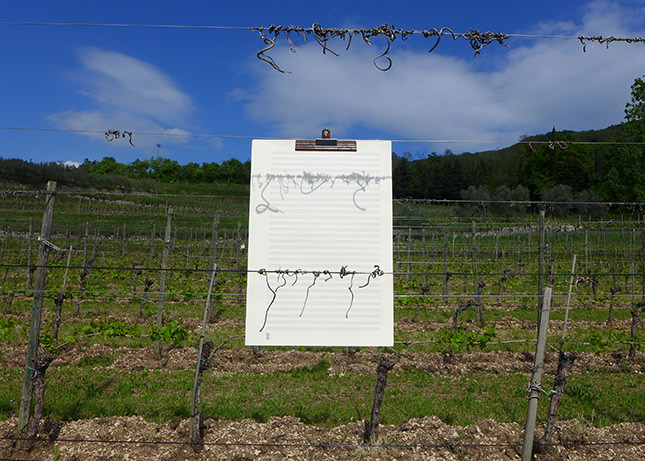 Pia Gazzola – Sorvolohttps://www.exibart.com/repository/media/eventi/2018/01/pia-gazzola-8211-sorvolo-1.jpg