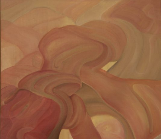 Santo Leonardo – Nessuna critica si ignora…