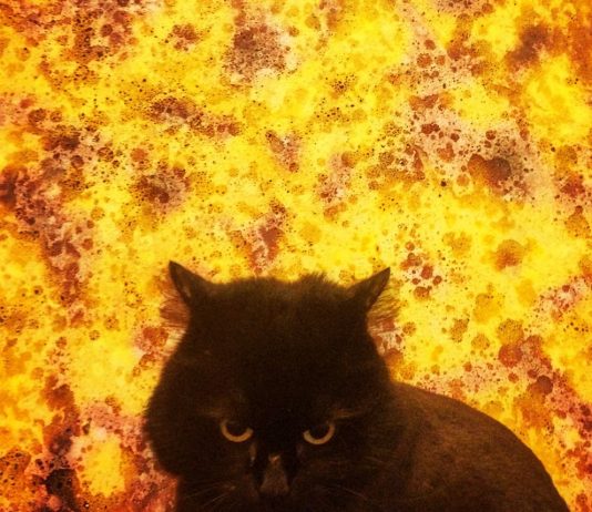 A Night With: Antonio Ostuni A Night With: Antonio Ostuni