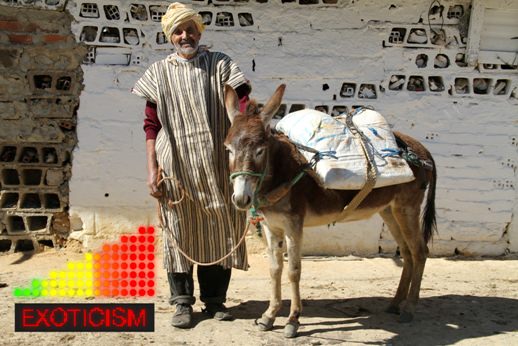 Bertille Bak – All inclusive viaggio