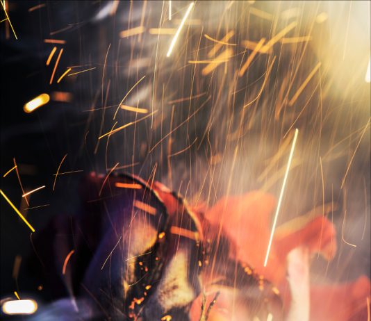 Bill Beckley – The Name of the Rose