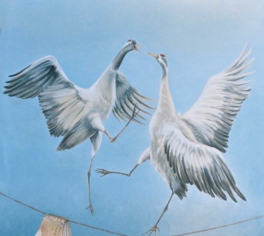 Bruno Ferrari – Realtà e sogno