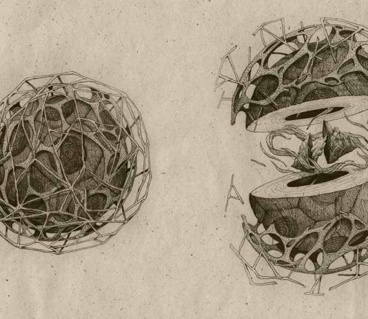 GLoois – Gravitares