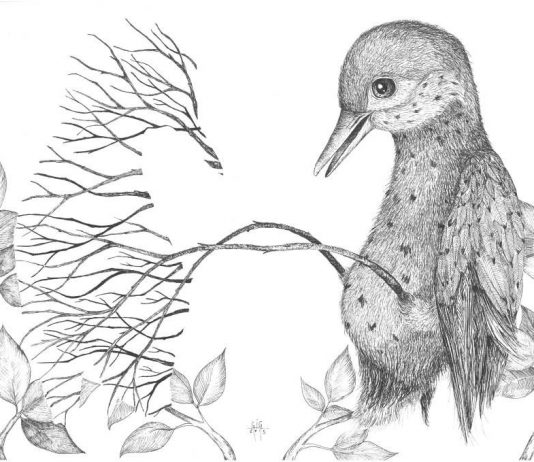 Luigi Loquarto (gig) – Geometria organica Luigi Loquarto (gig) – Geometria organica