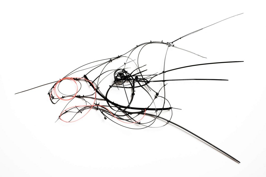 Maiti – Circushttps://www.exibart.com/repository/media/eventi/2018/02/maiti-8211-circus-1068x713.jpg