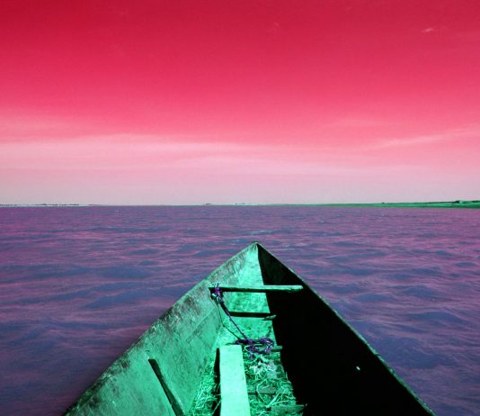 Sheila McKinnon – Invisible light